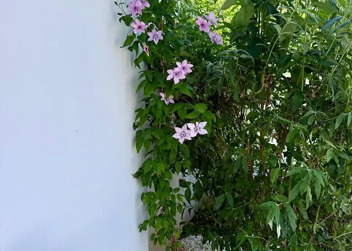 Villa Courtyard Villa, *